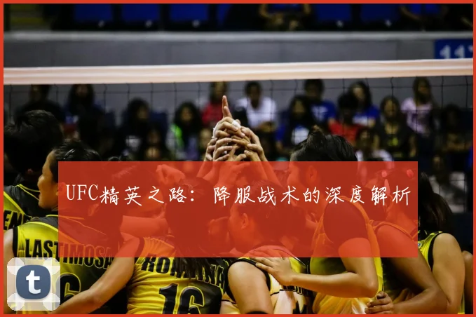 UFC精英之路：降服战术的深度解析