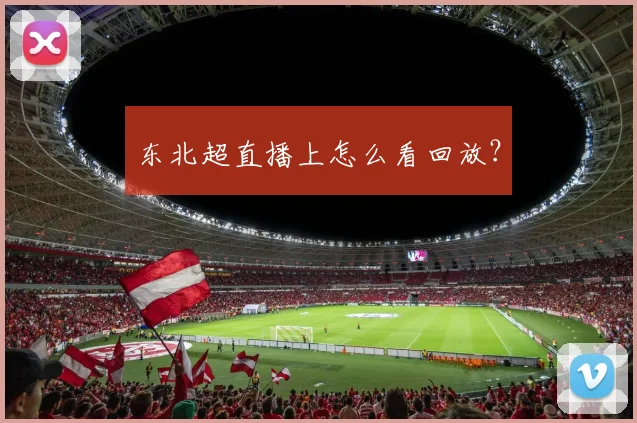 东北超直播上怎么看回放?