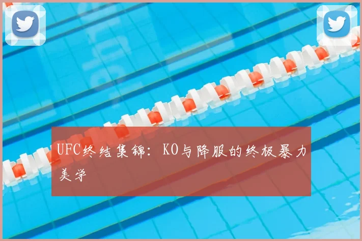 UFC终结集锦：KO与降服的终极暴力美学