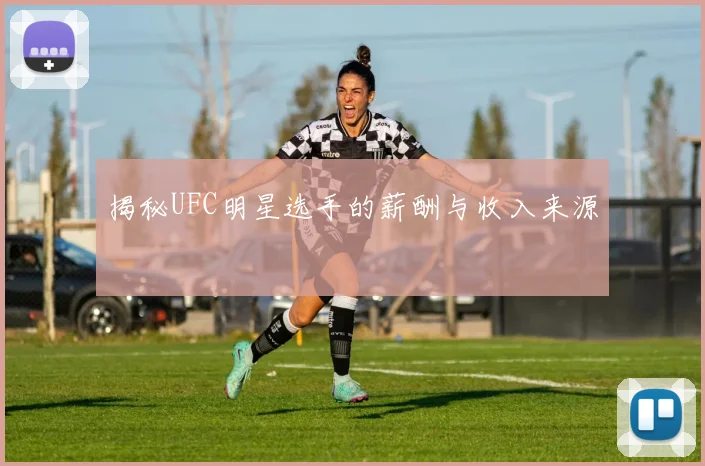 揭秘UFC明星选手的薪酬与收入来源