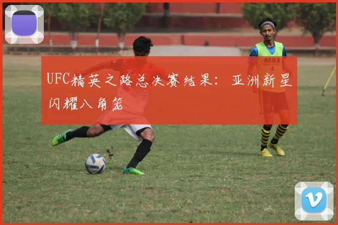 UFC精英之路总决赛结果：亚洲新星闪耀八角笼