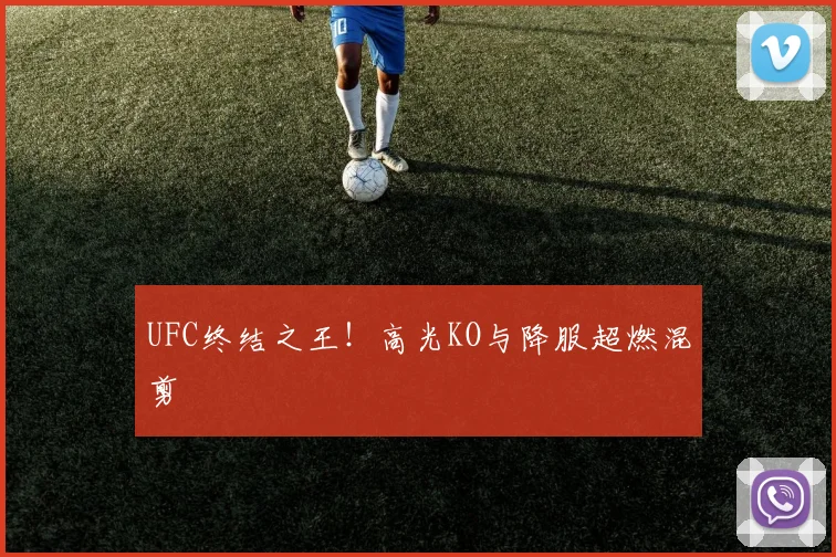 UFC终结之王！高光KO与降服超燃混剪