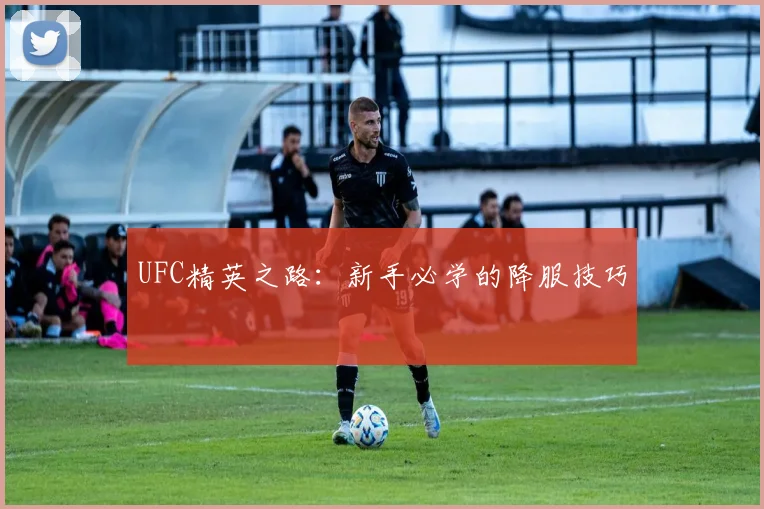 UFC精英之路：新手必学的降服技巧