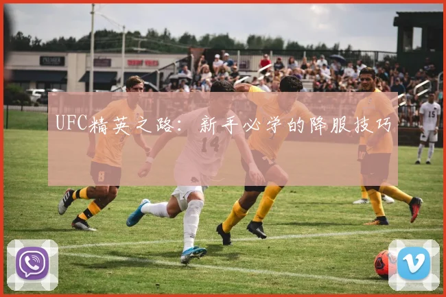 UFC精英之路：新手必学的降服技巧