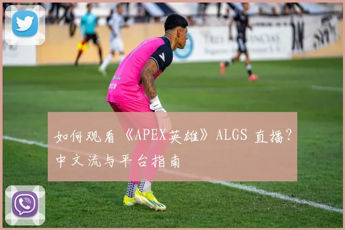 如何观看《APEX英雄》ALGS 直播？中文流与平台指南