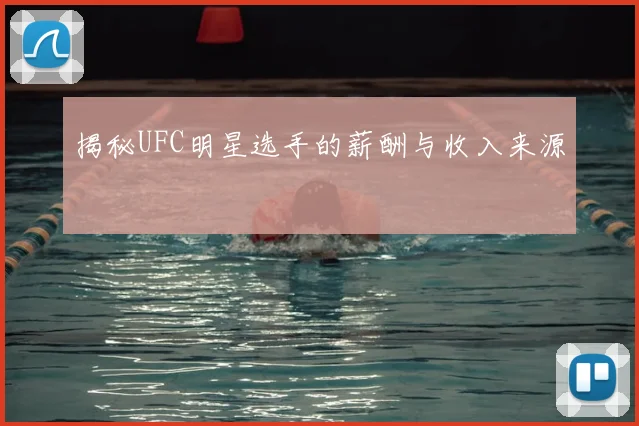 揭秘UFC明星选手的薪酬与收入来源