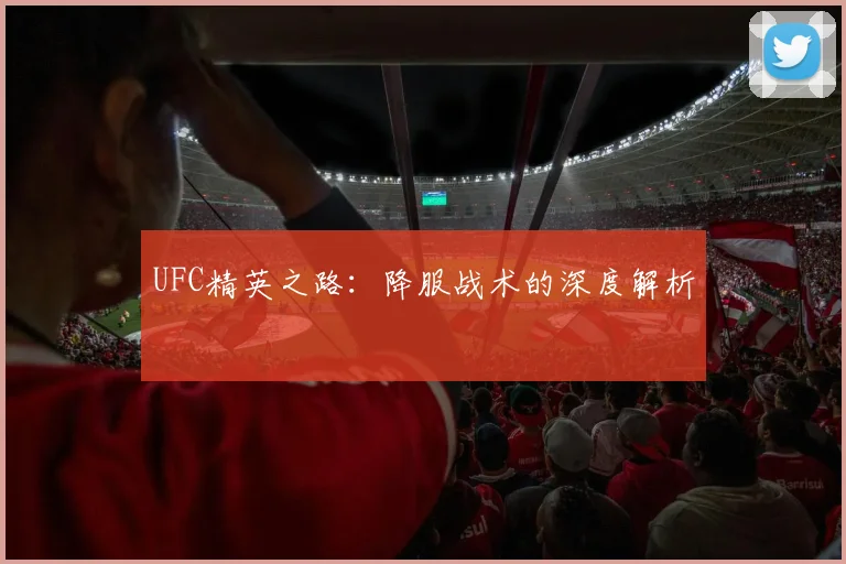 UFC精英之路：降服战术的深度解析
