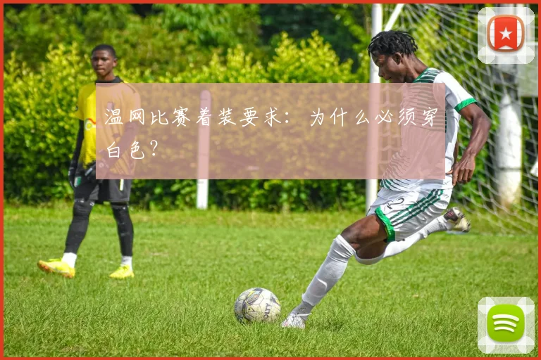 温网比赛着装要求：为什么必须穿白色？