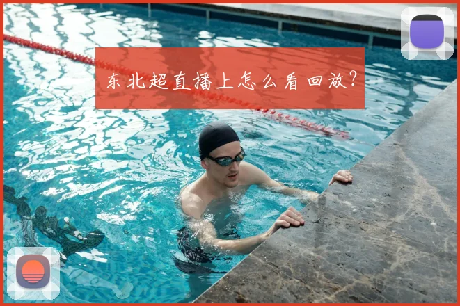 东北超直播上怎么看回放?