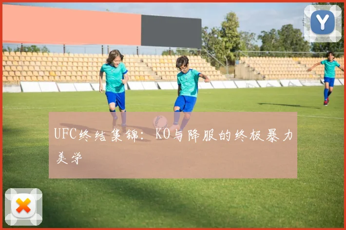 UFC终结集锦：KO与降服的终极暴力美学